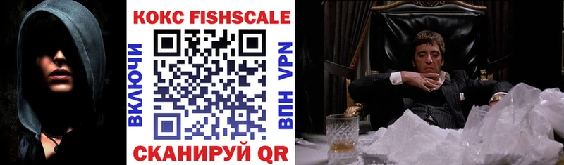 Кокаин FishScale  кракен ссылки  Устюжна 