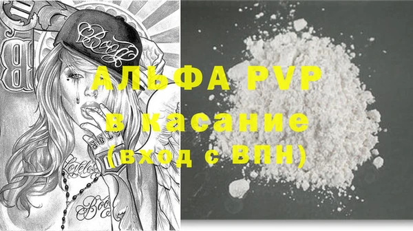 ешки Аркадак