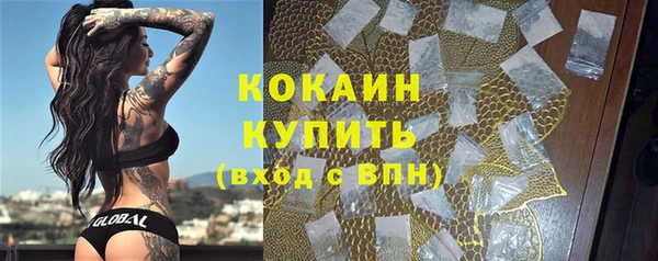 ешки Аркадак