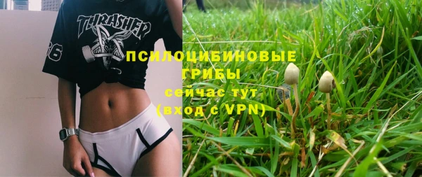 ГАЛЛЮЦИНОГЕННЫЕ ГРИБЫ Покачи
