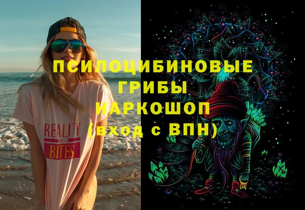 ешки Аркадак