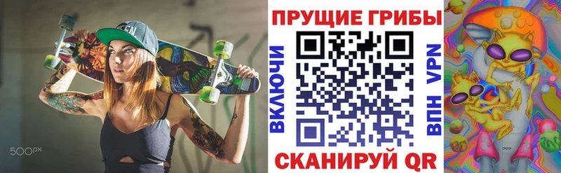 Галлюциногенные грибы Magic Shrooms  продажа наркотиков  Устюжна 